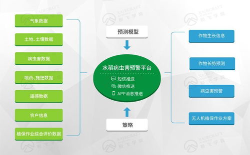 打造互聯(lián)網(wǎng)精準(zhǔn)農(nóng)業(yè)航空服務(wù)平臺(tái)的數(shù)據(jù)處理服務(wù)